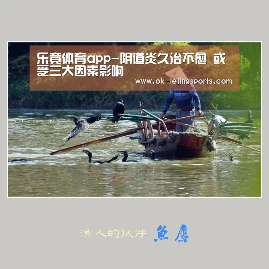 乐竟官网平台