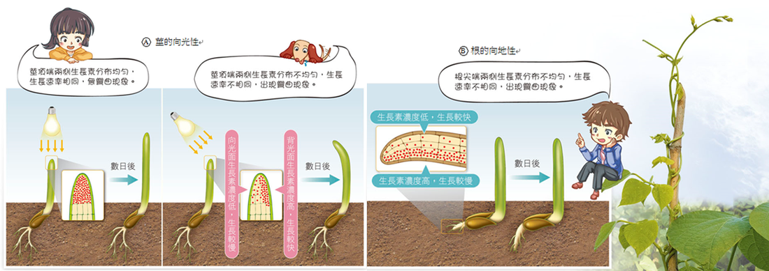 乐竟体育官网