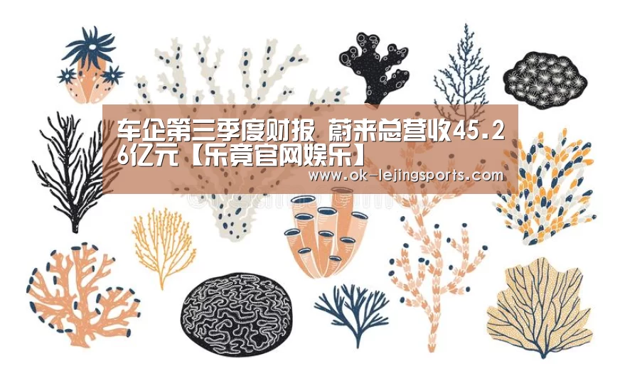 车企第三季度财报 蔚来总营收45.26亿元【乐竟官网娱乐】(图1) 乐竟体育app