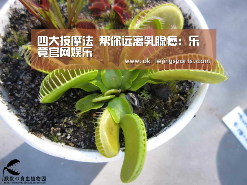 四大按摩法 帮你远离乳腺癌:乐竟官网娱乐(图2) 乐竟体育app