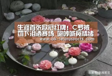 乐竟官网娱乐