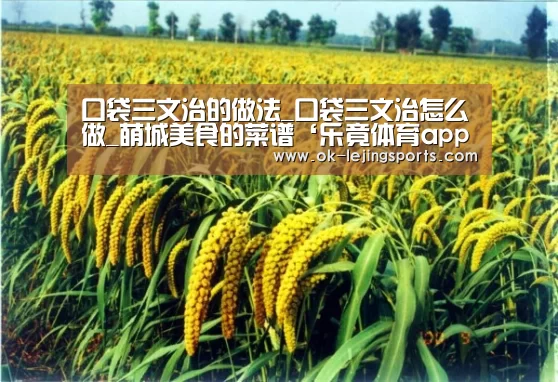 口袋三文治的做法_口袋三文治怎么做_萌城