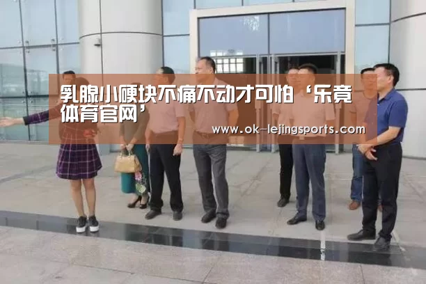 乐竟体育app
