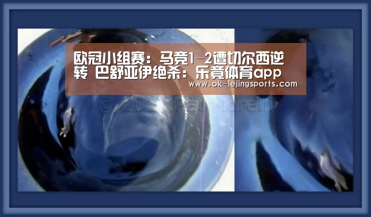 乐竟体育官网