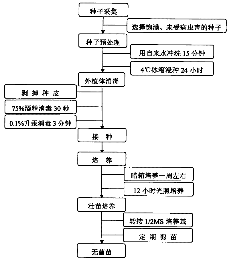 油性头发怎么办 4个小妙招让头发24小时干爽不油腻_乐竟官网平台(图3) 乐竟体育官网